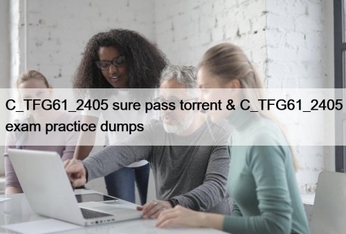 C_TFG61_2405 sure pass torrent & C_TFG61_2405 exam practice ...